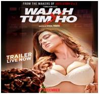 Wajah Tum Ho (2016) Hindi HDRip 700MB
