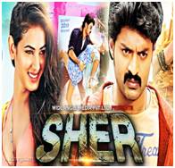 Sher (2017) Hindi Dubbed HDRip 480p 300MB
